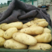 唐山玉田土豆大量上市中质量好价格便宜