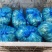 【推荐】江苏新鲜现剥蚕豆米蚕豆瓣品质好一手货源欢迎采购