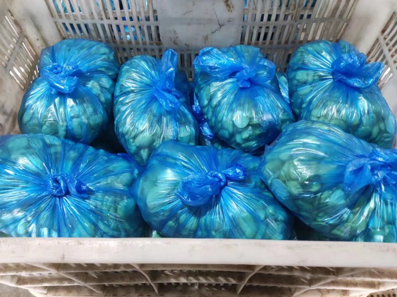 【推荐】江苏新鲜现剥蚕豆米蚕豆瓣品质好一手货源欢迎采购