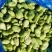 【蚕豆瓣】江苏新鲜冻蚕豆瓣蚕豆米规格齐全欢迎采购
