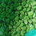 【蚕豆瓣】江苏新鲜冻蚕豆瓣蚕豆米规格齐全欢迎采购