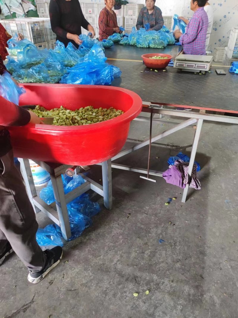 【蚕豆瓣】江苏新鲜冻蚕豆瓣蚕豆米规格齐全欢迎采购