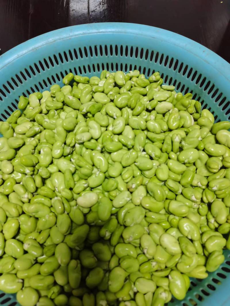 【蚕豆瓣】江苏新鲜冻蚕豆瓣蚕豆米规格齐全欢迎采购