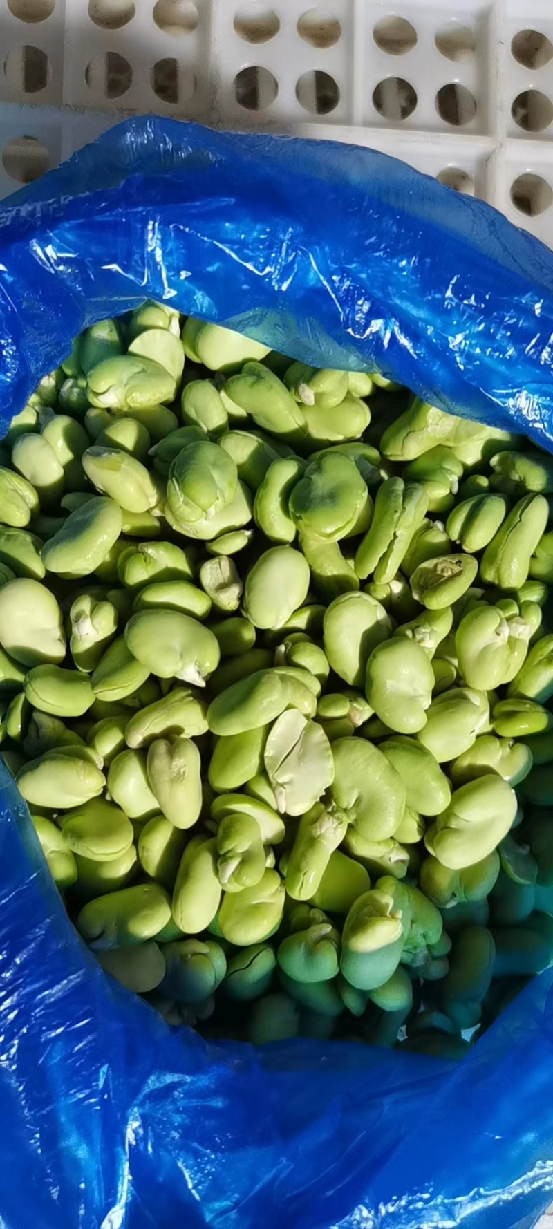 【蚕豆瓣】江苏新鲜冻蚕豆瓣蚕豆米规格齐全欢迎采购