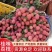 桂味荔枝广东荔枝大量上市批发商场市场大量有货