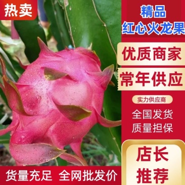 红心火龙果皮色好口感很甜，水分足欢迎个大渠道对接