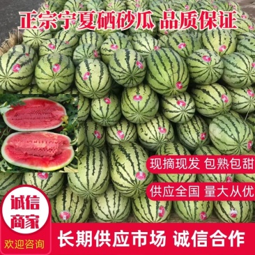 【包熟包甜】正宗宁夏硒砂瓜现摘现发无中间商皮薄多汁