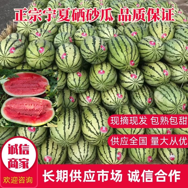 【包熟包甜】正宗宁夏硒砂瓜现摘现发无中间商皮薄多汁