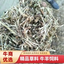 【热卖】河南驻马店原产地花生秧18个月大量售卖基地直发