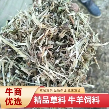 【热卖】河南驻马店原产地花生秧18个月大量售卖基地直发