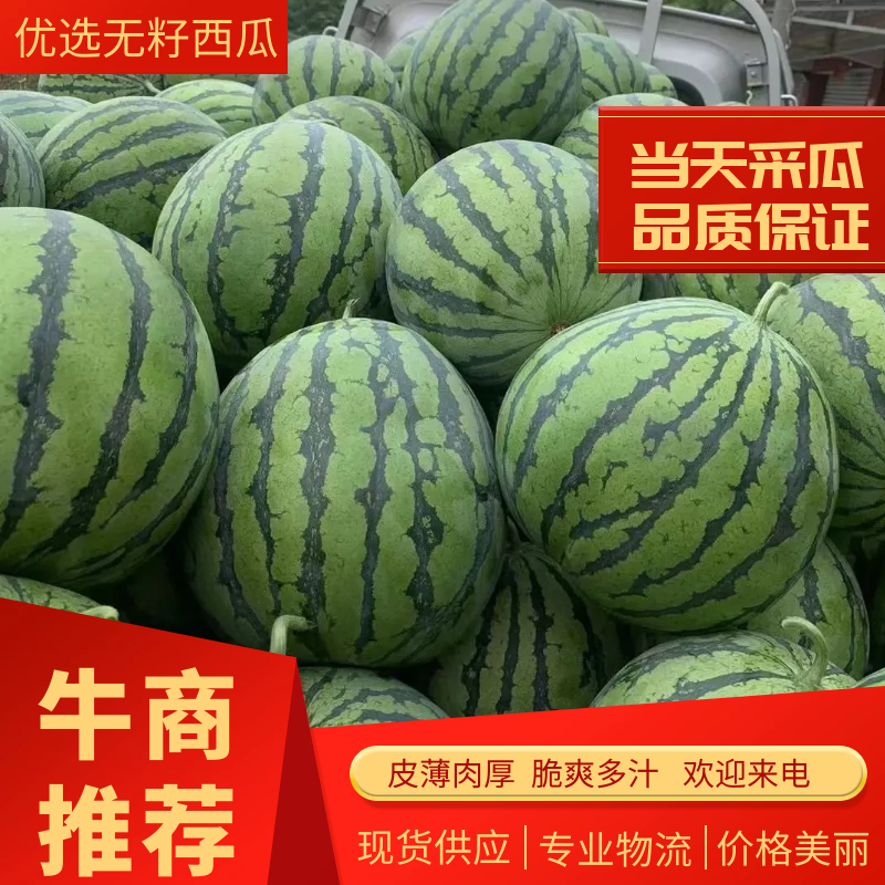 [无籽西瓜批发]湖北宜昌秭归县西瓜 0.60元/斤无籽西瓜产地大 _ 一亩田