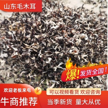 精品毛木耳丝工厂价格产地直销当季新货量大从优