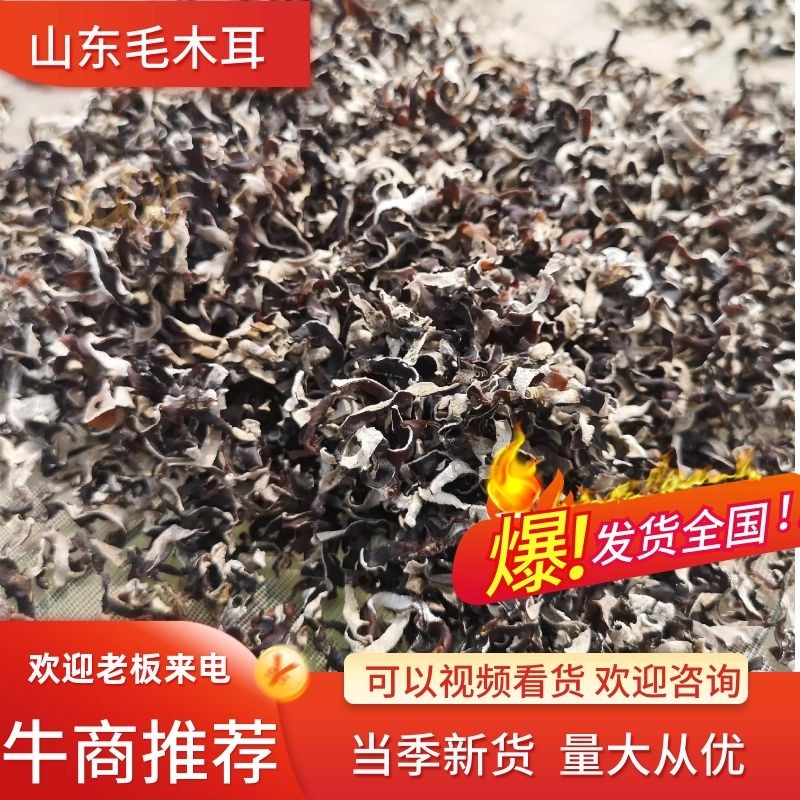 精品毛木耳丝工厂价格产地直销当季新货量大从优