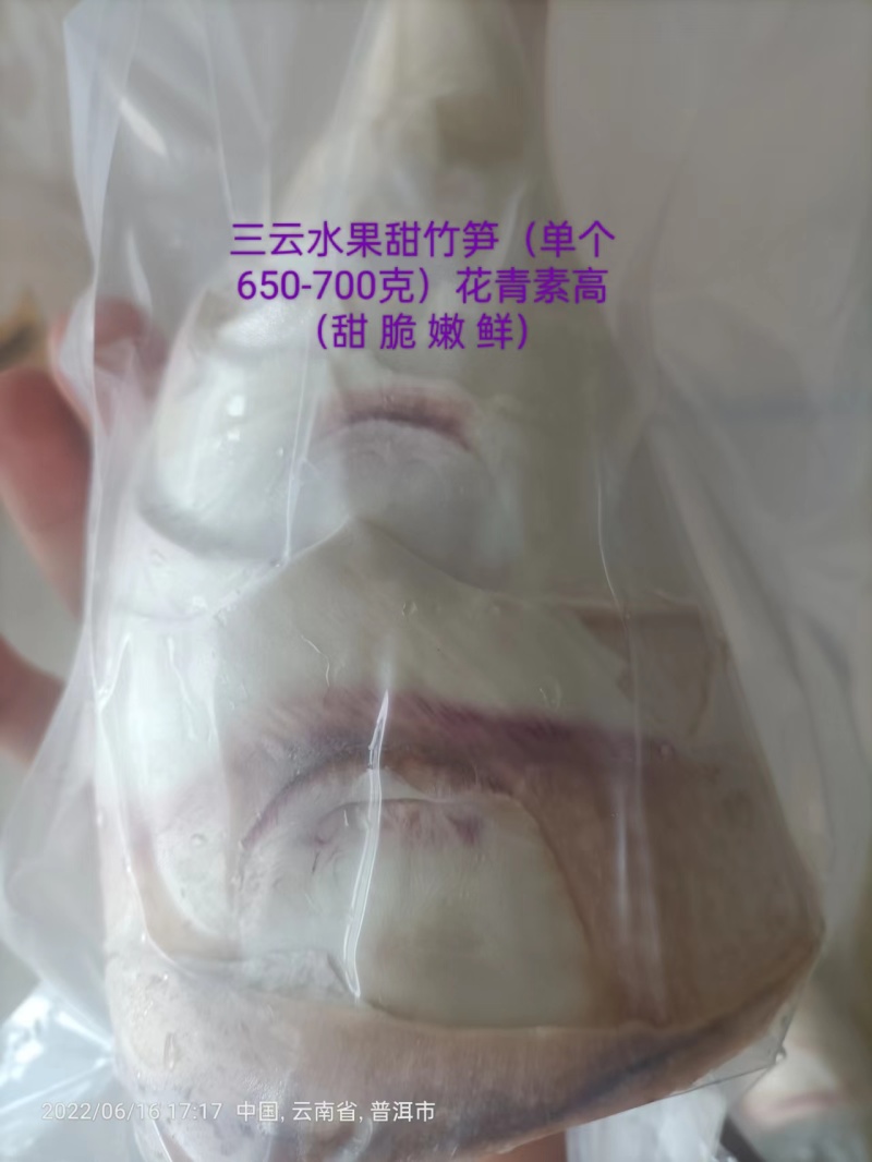 云南思茅真空包装精品水果甜竹笋去皮花口感甜脆嫩鲜价优