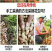 大型花生分离机新款花生摘果机摘花生收获机干湿两用