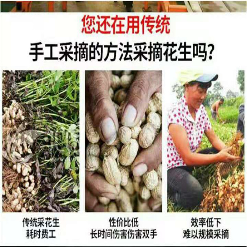 大型花生分离机新款花生摘果机摘花生收获机干湿两用