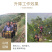 履带运输升降车新款山地爬坡运输车果园采摘运输自动升降