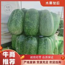 水果东瓜2斤以上，产地直供量大从优，欢迎选购。。。