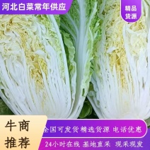 精品黄心白菜产地直发一手货源散装冷库加工量大从优