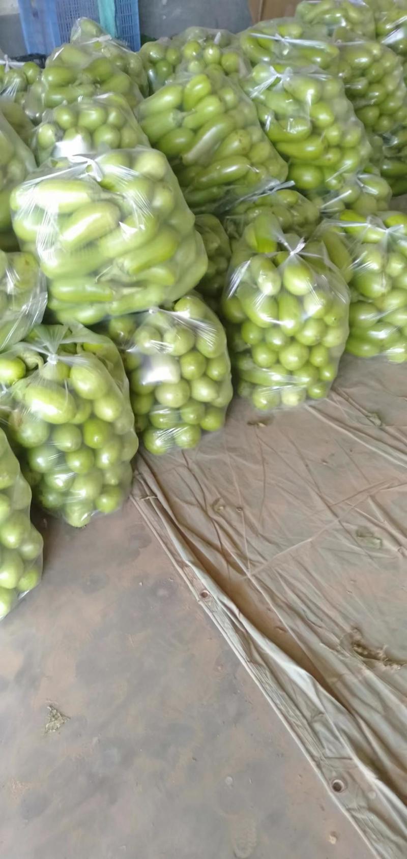 河南精品绿茄子，大量上市，货源充足，一手货源，产地直销…