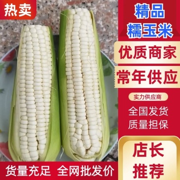 【优质】白糯玉米，花糯玉米上市中，支持整车供应，全国发货