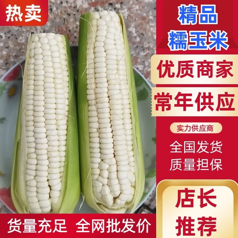 【优质】白糯玉米，花糯玉米上市中，支持整车供应，全国发货