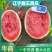 【精品】甜王西瓜,爆甜多汁,货源充足稳定,皮薄个大