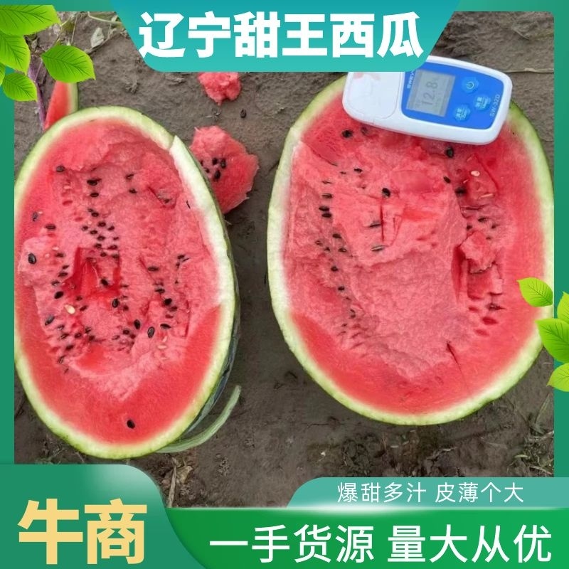 【精品】甜王西瓜，爆甜多汁，货源充足稳定，皮薄个大