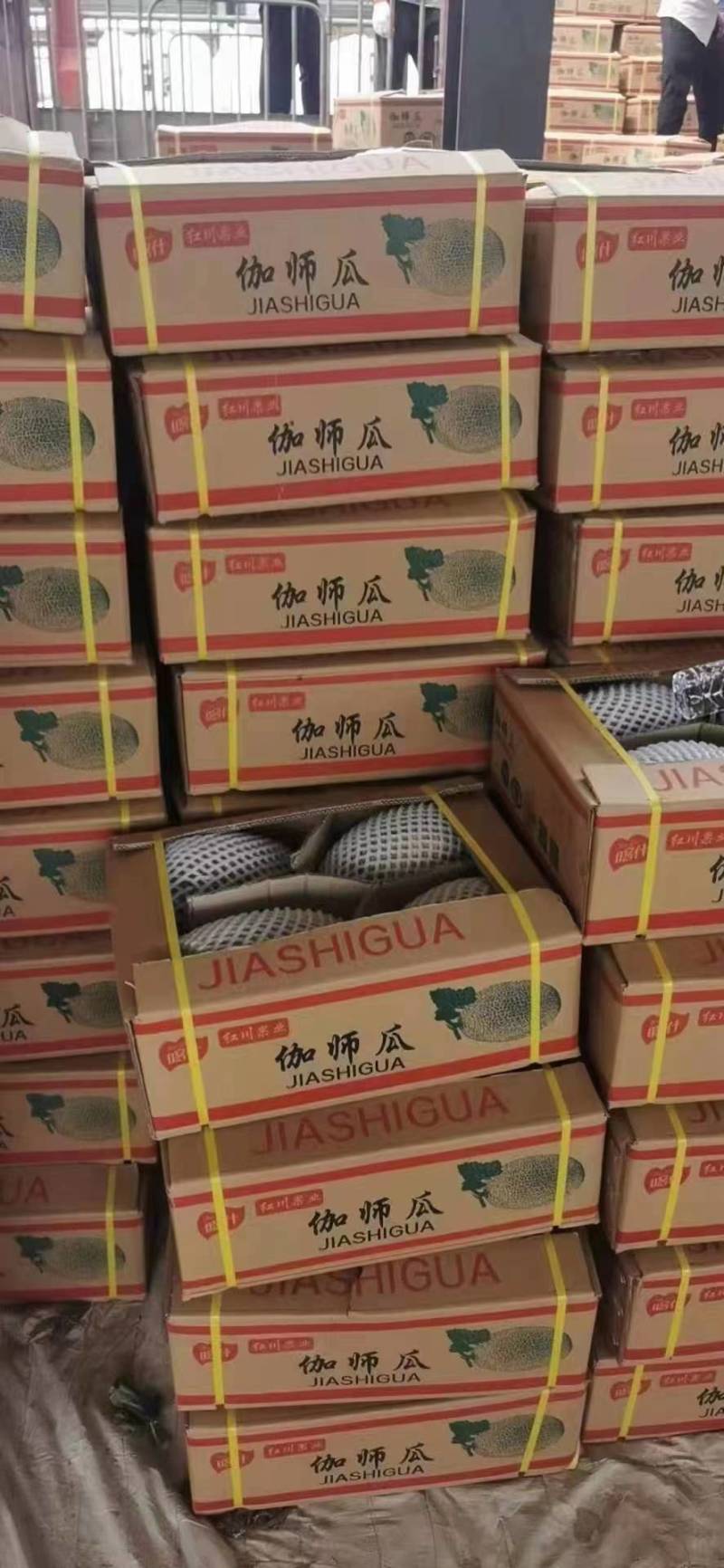 新疆哈密瓜伽师瓜八六王大量上市，品质保证，诚信经营，来电优惠