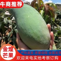 【产地】四川金煌芒皮薄肉厚纯甜无丝，可供电商诚信欢迎选购