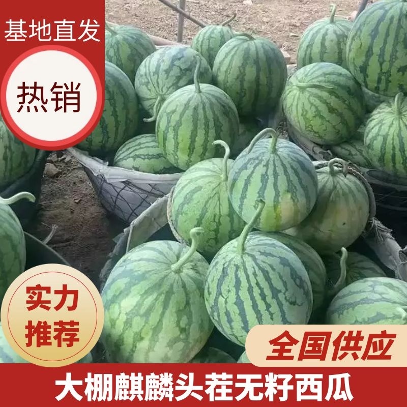 麒麟西瓜大棚麒麟头茬无籽西瓜皮薄汁多湖南西瓜