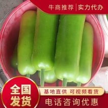 瓠子实力代办基地直供全国发货量大从优
