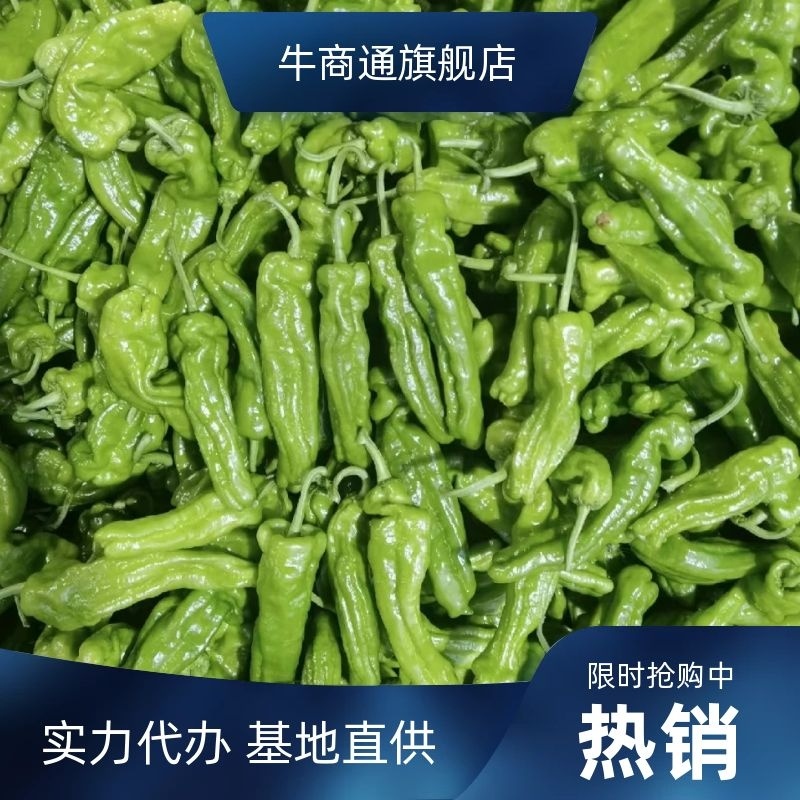 【推荐】芜湖薄皮椒实力代办全国发货量大从优一手货