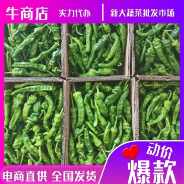 【实力】薄皮椒芜湖椒五号电商直供全国发货量大从优