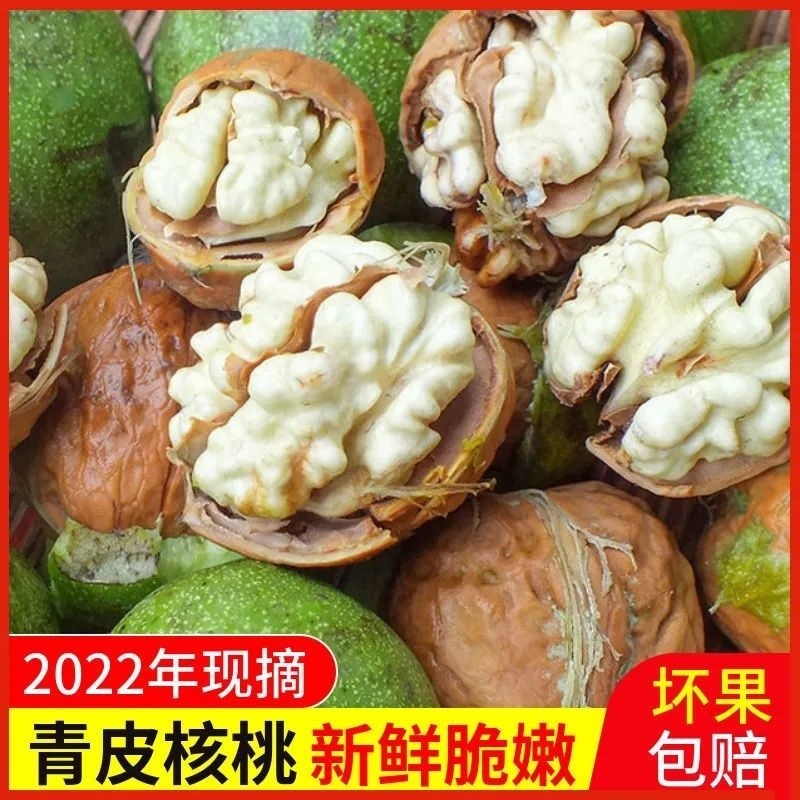 热销四川青皮核桃，45起步杆打果产地直销质量保证。