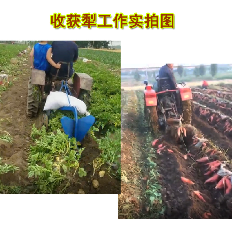 薯类收获犁土豆胡萝卜大姜红薯收获机挖地瓜机
