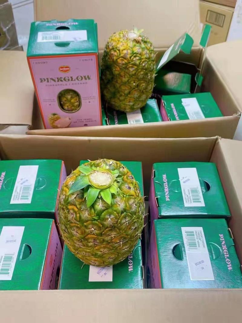 国产哥斯达黎加粉色菠萝现货顺丰包邮代发批发