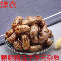 蝉蜕蝉壳知了皮蝉退壳四川产地供应欢迎各大商家对接