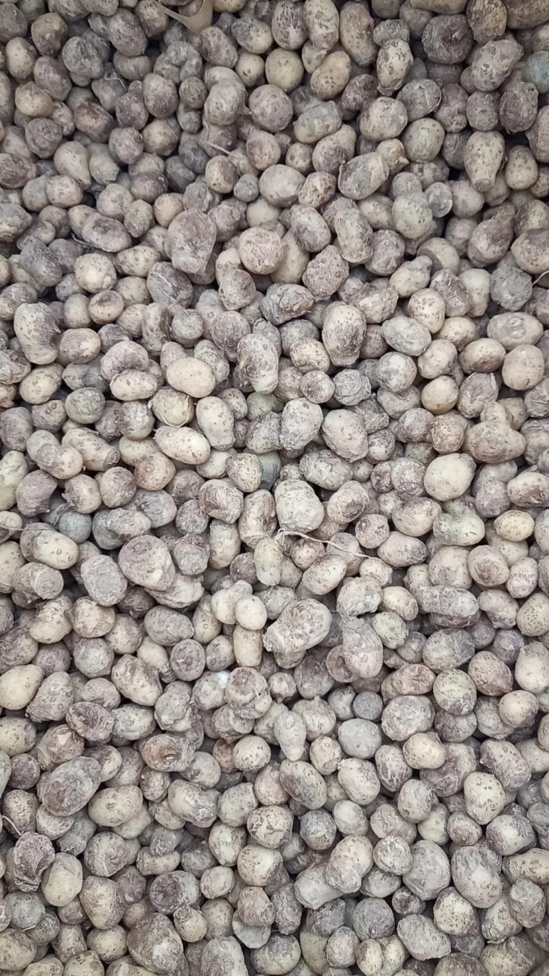 2020年半夏去皮干货1.2往上的，产地直发，质量保证