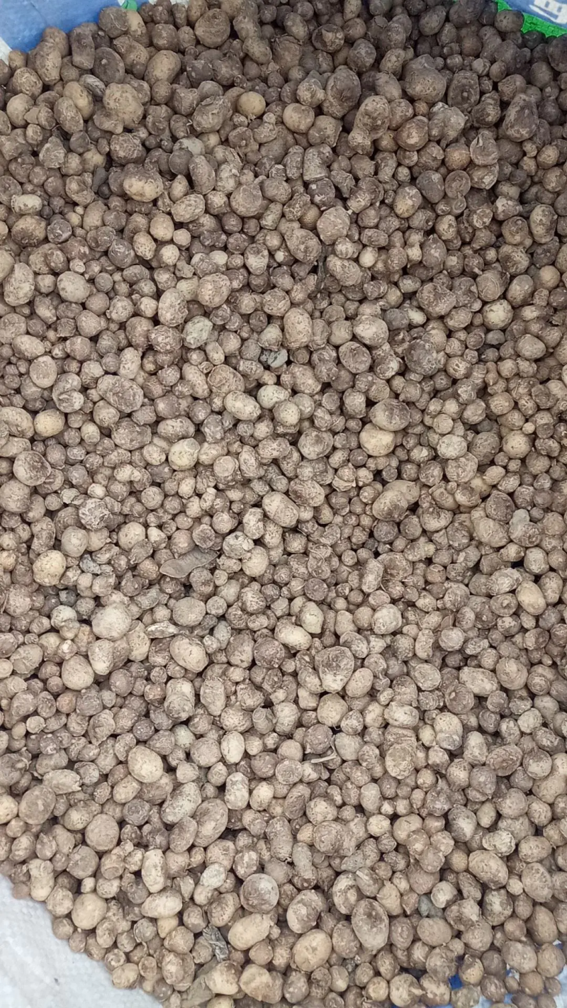 2020年半夏去皮干货1.2往上的，产地直发，质量保证