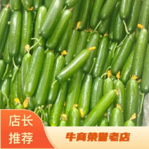 【热卖】精品优质小黄瓜，长年供应，全国发货，欢迎进店