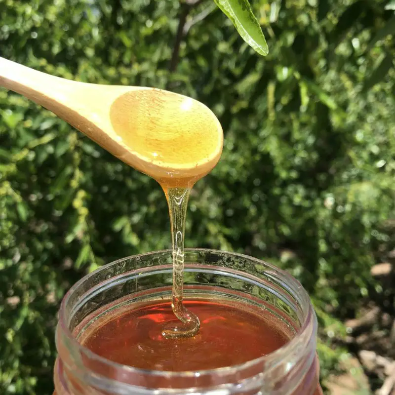 【蜂蜜批发】枣花蜜高浓度蜜营养丰富量大从优