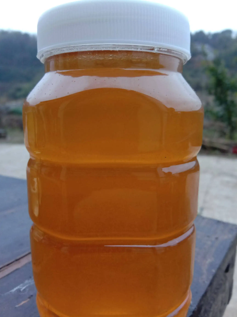 【蜂蜜批发】枣花蜜高浓度蜜营养丰富量大从优