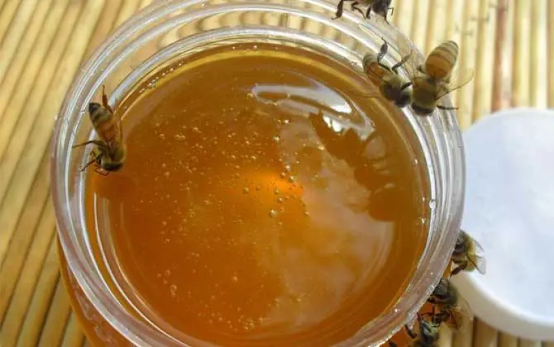 【蜂蜜批发】枣花蜜高浓度蜜营养丰富量大从优
