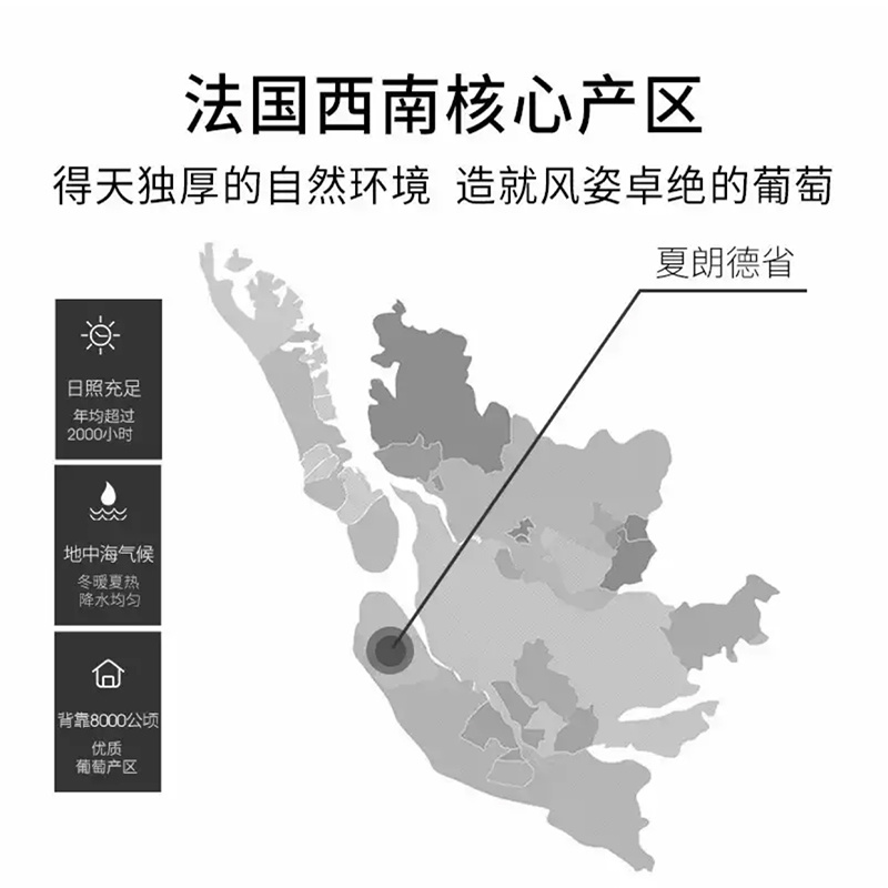 法国原瓶原装进口白兰地斑豹xo洋酒批发代理OEM贴牌定制