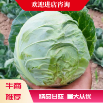 精品中甘系列产地大量有货产地直供欢迎老板选购