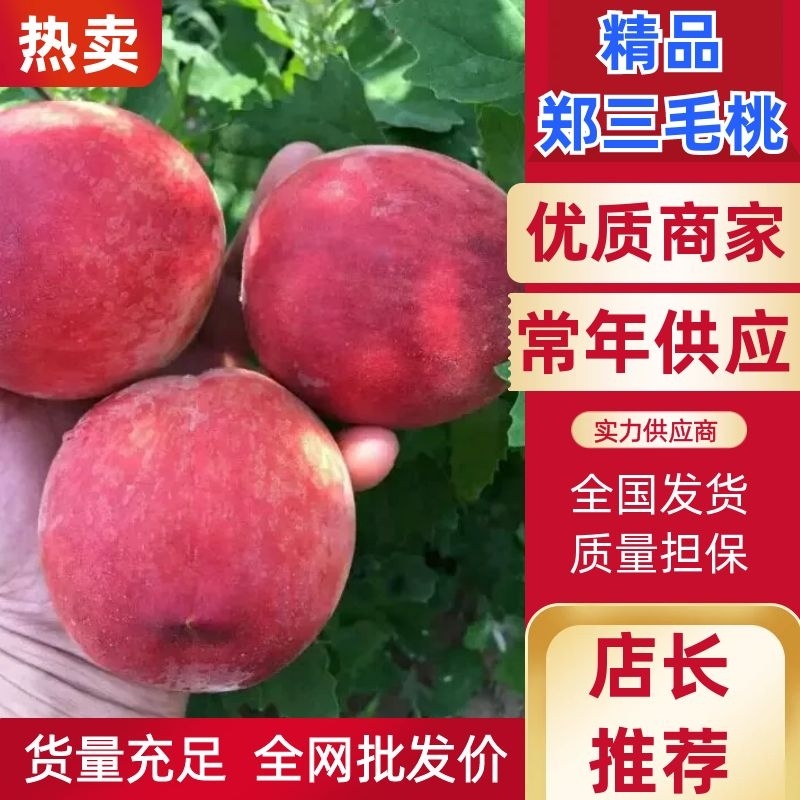 毛桃产地直发量大从优欢迎选购