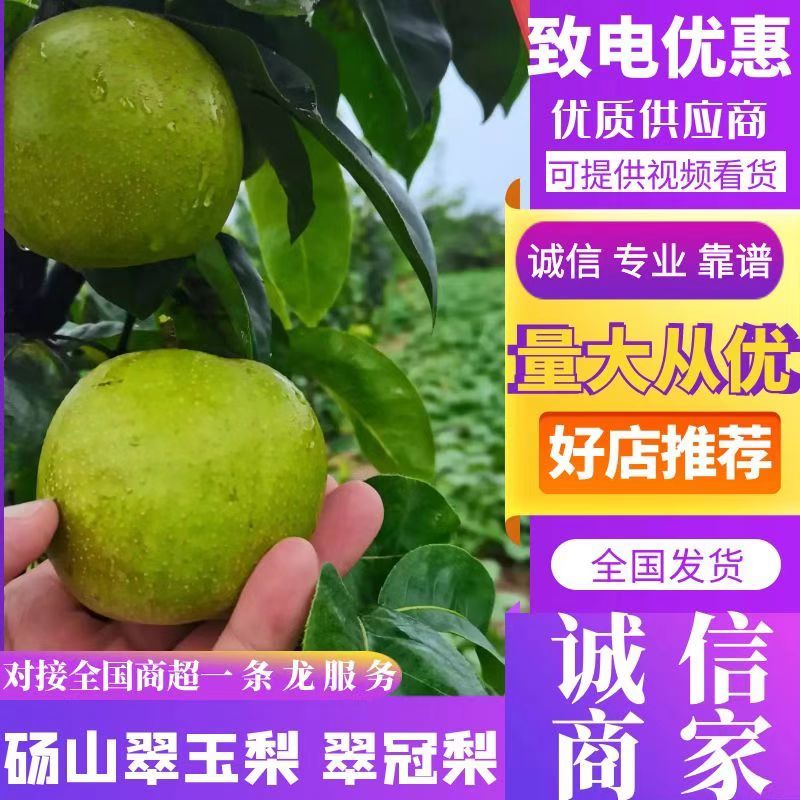 砀山青皇冠翠冠梨翠玉梨秋月口感脆甜产地直供