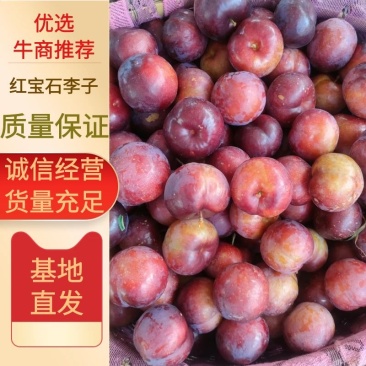 精品李子，红宝石李子一手货源，视频看货诚信经营品质保证