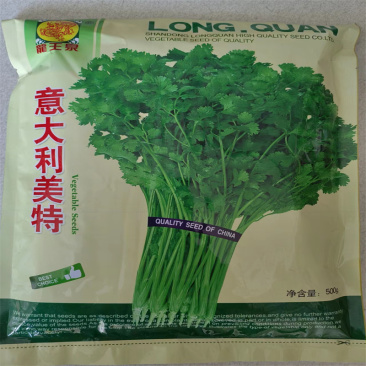 意大利美特香菜种子四季小叶香菜种子耐抽苔叶圆芫荽种子